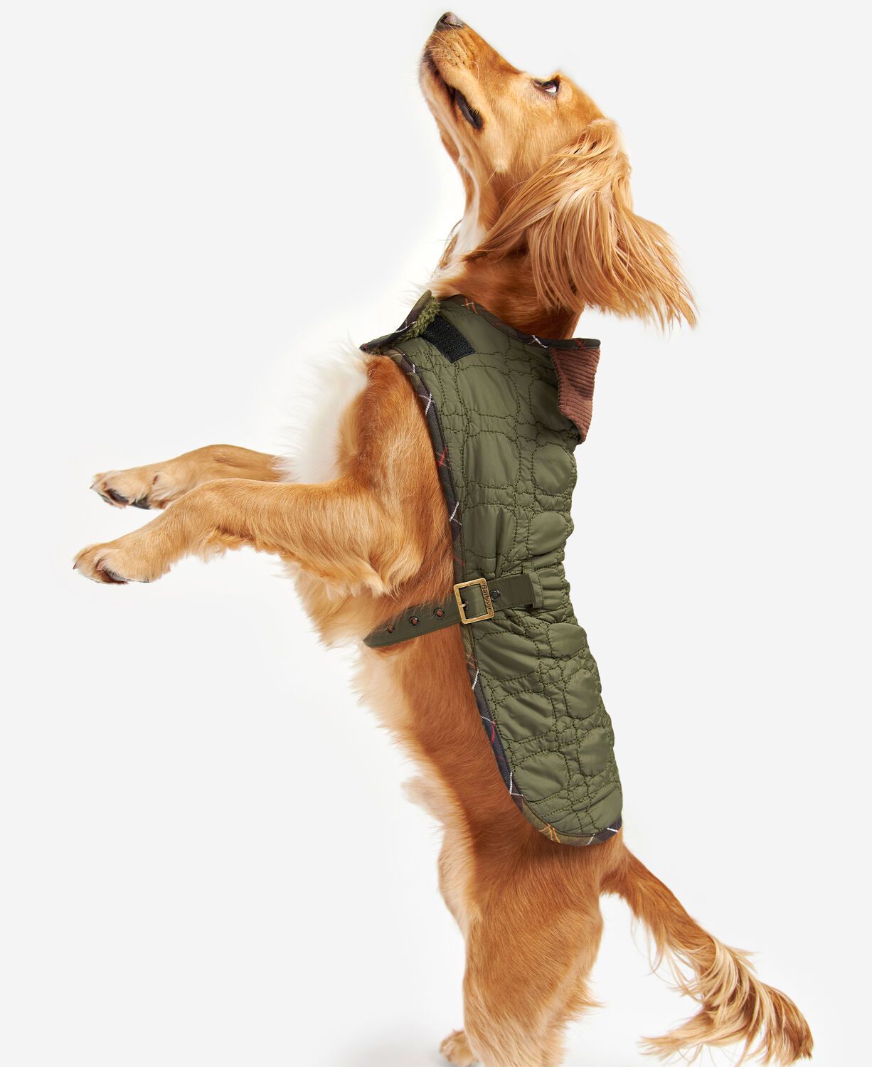 Barbour Dog Bone Quilted Dog Coat Dark Olive 3