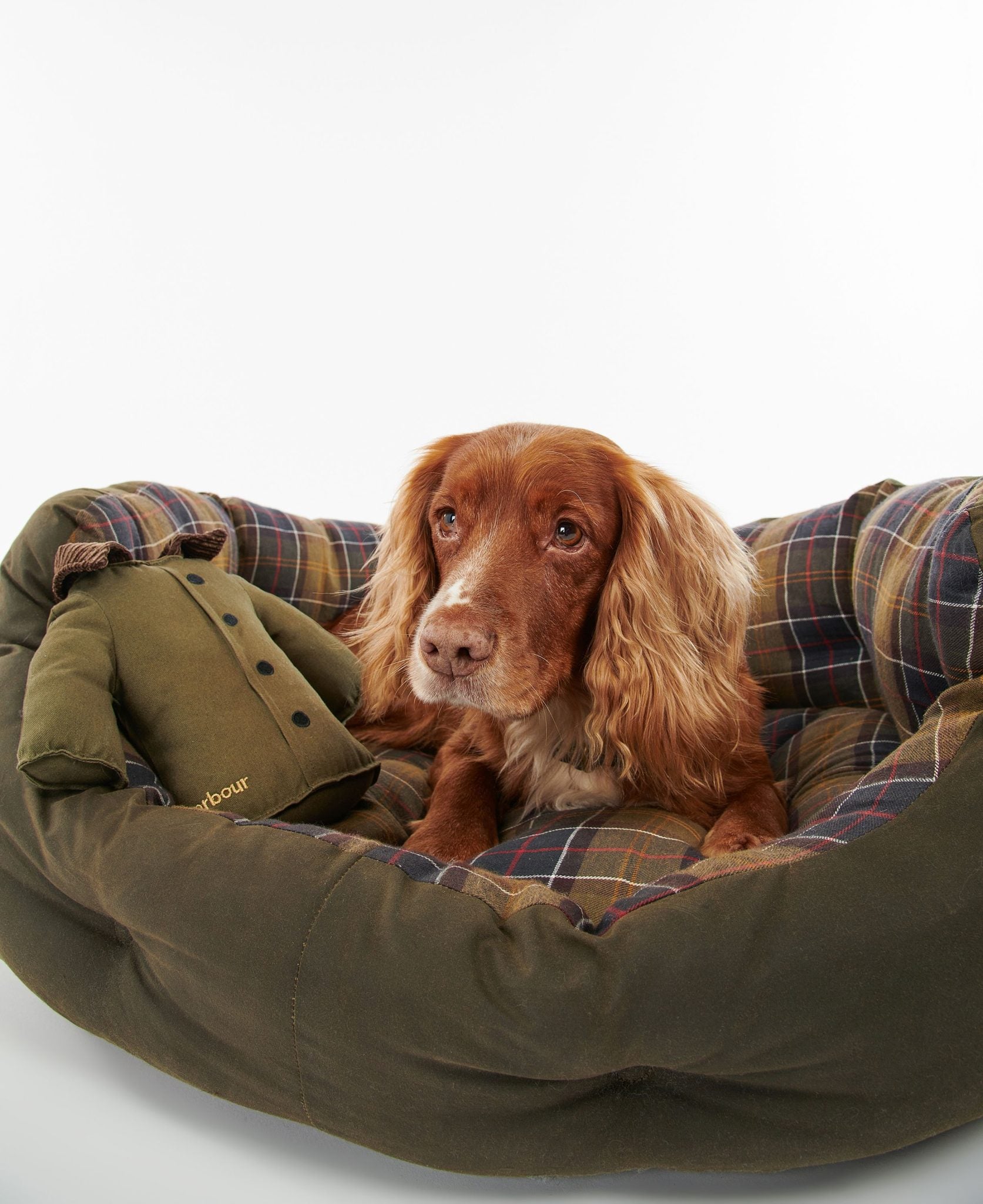 Barbour Jacket Soft Dog Toy 2