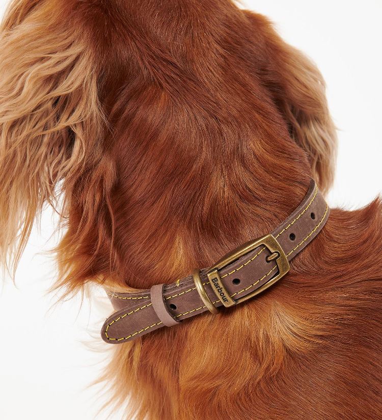 Barbour Leather Dog Collar 2