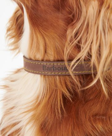 Barbour Leather Dog Collar 3
