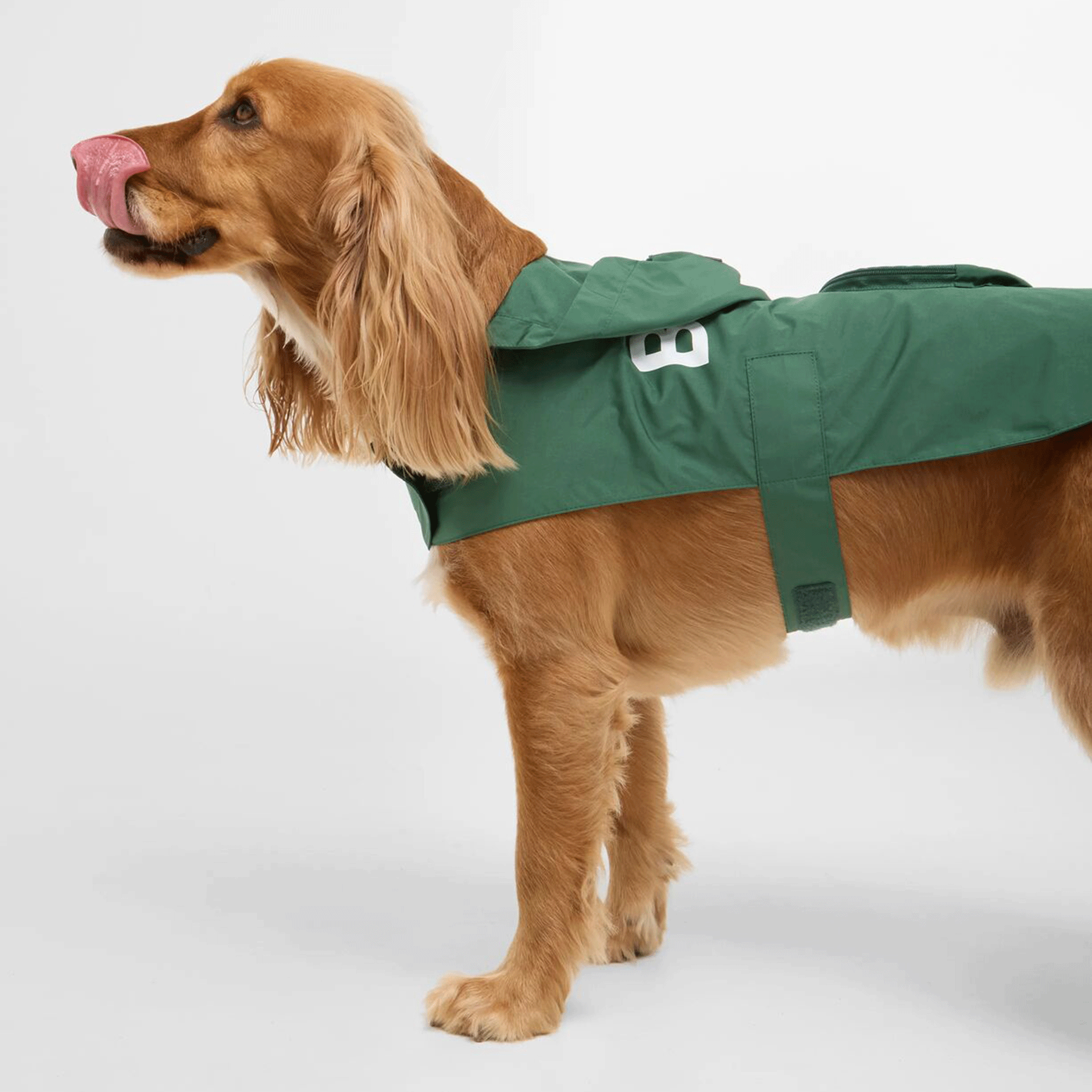 Barbour Packable Logo Dog Coat Green