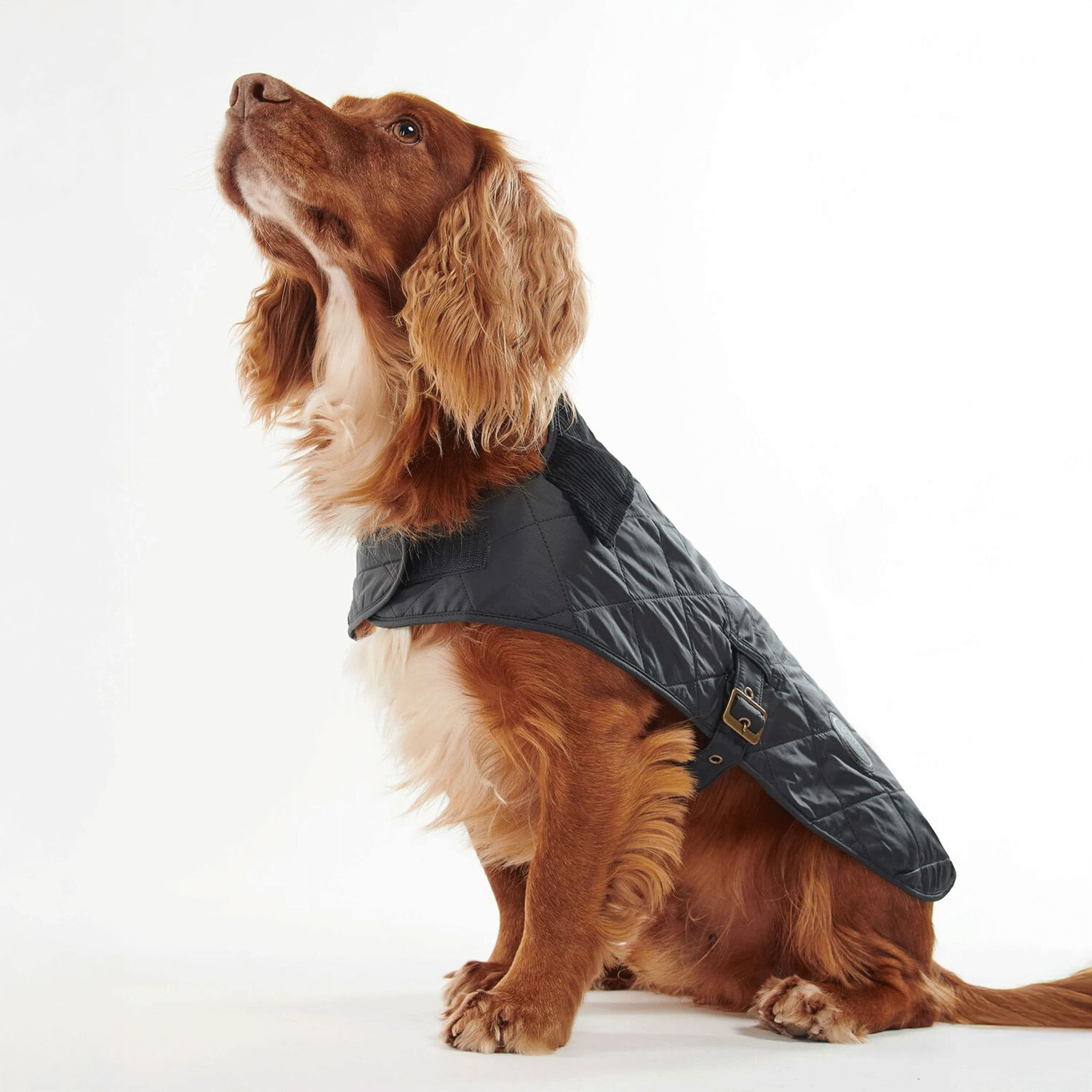Barbour Quilted Dog Coat Classic Black