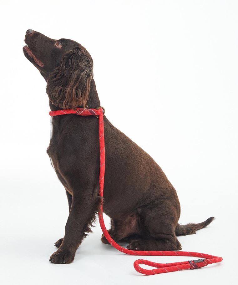 Barbour Reflective Slip Lead Classic Red 1