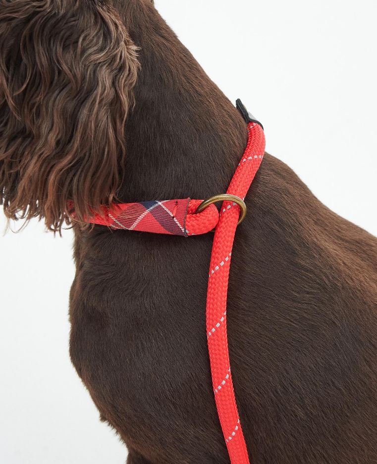 Barbour Reflective Slip Lead Classic Red 2