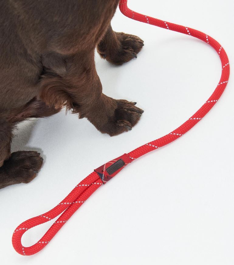 Barbour Reflective Slip Lead Classic Red 3