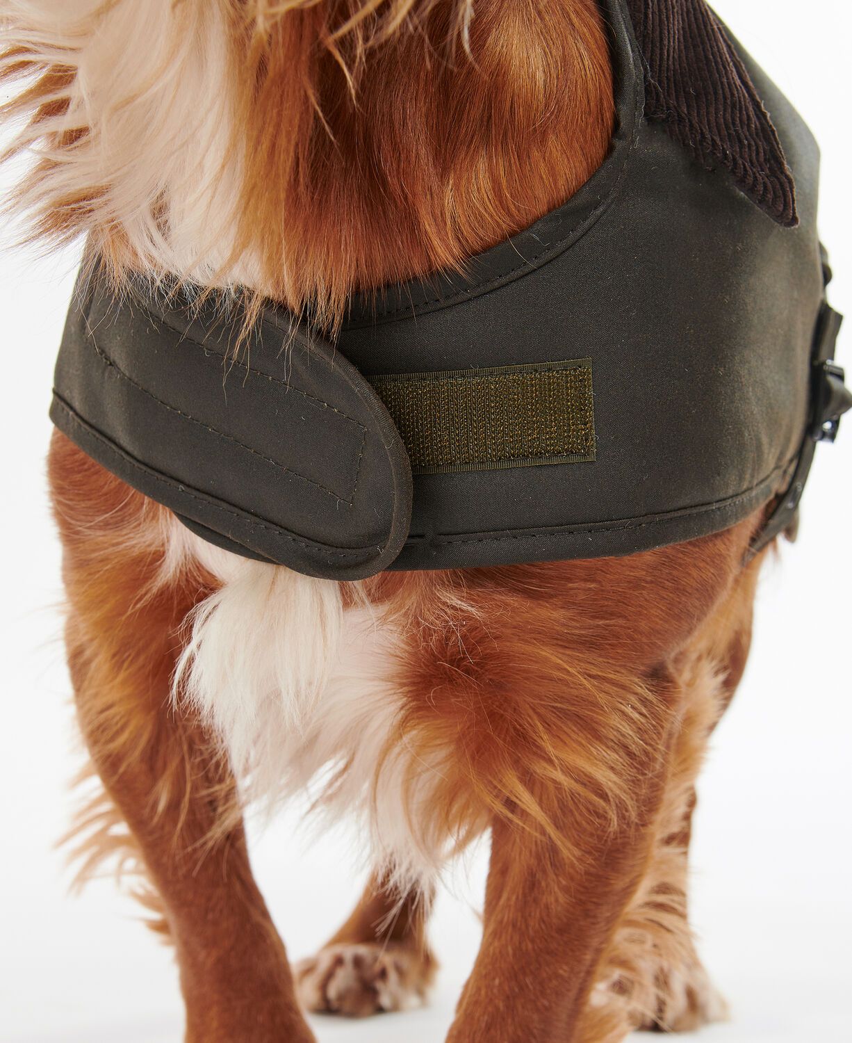 Barbour Wax Dog Coat Olive 3