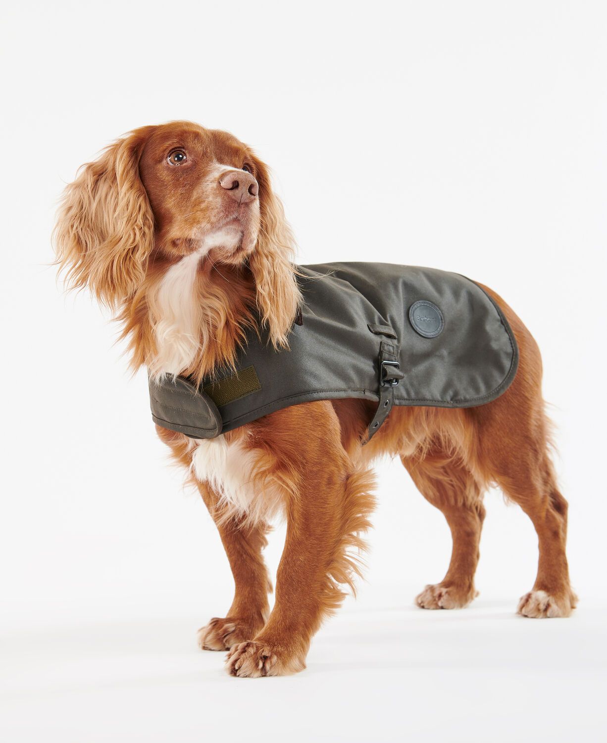 Barbour Wax Dog Coat Olive 8