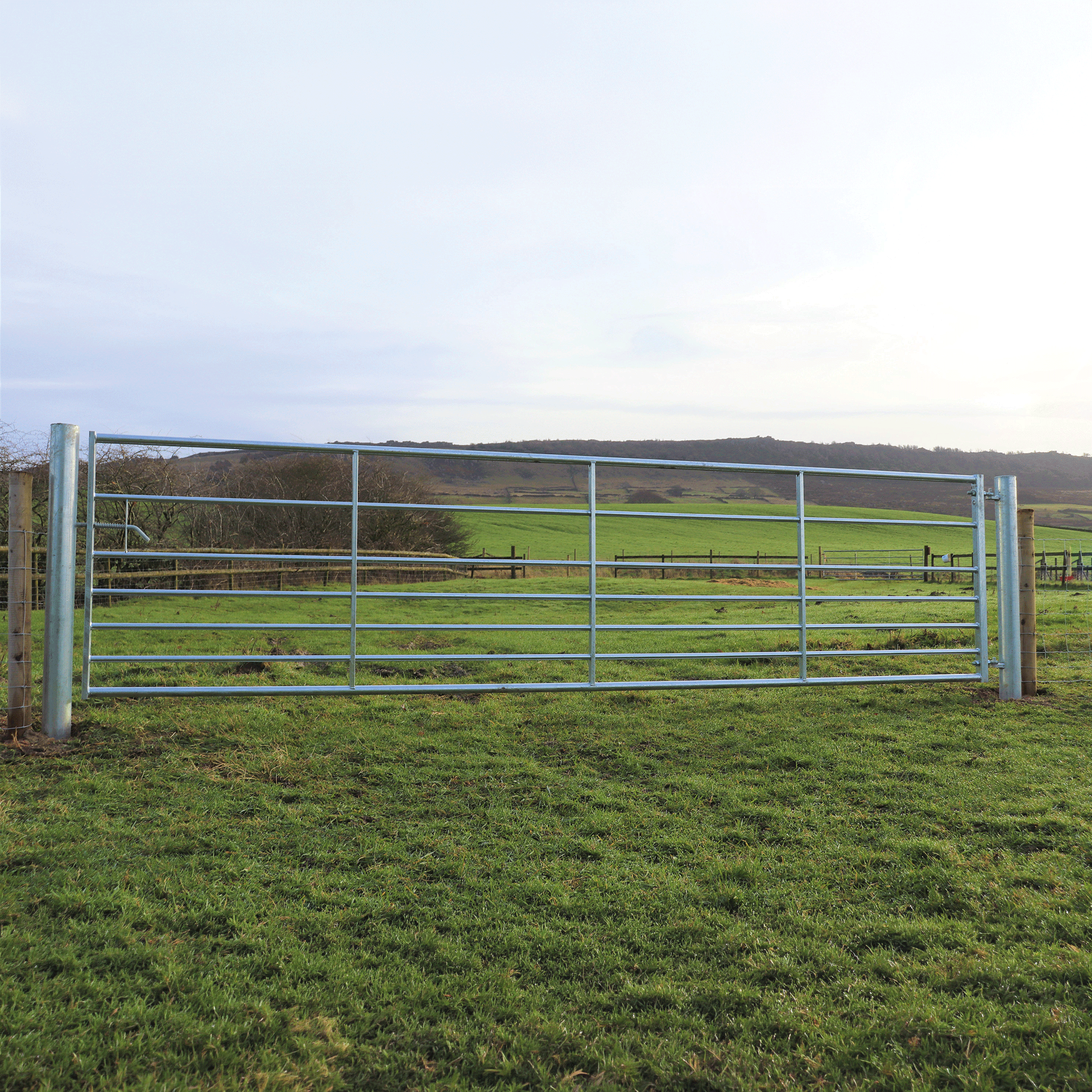 Bateman Ashcombe Galvanised Steel Field Gate
