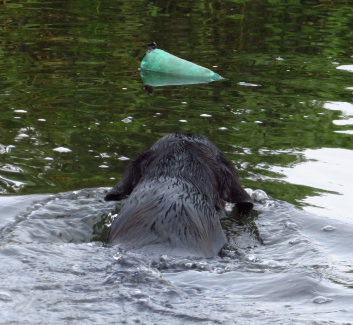 Bisley 1lb Standard Canvas Dummy 3