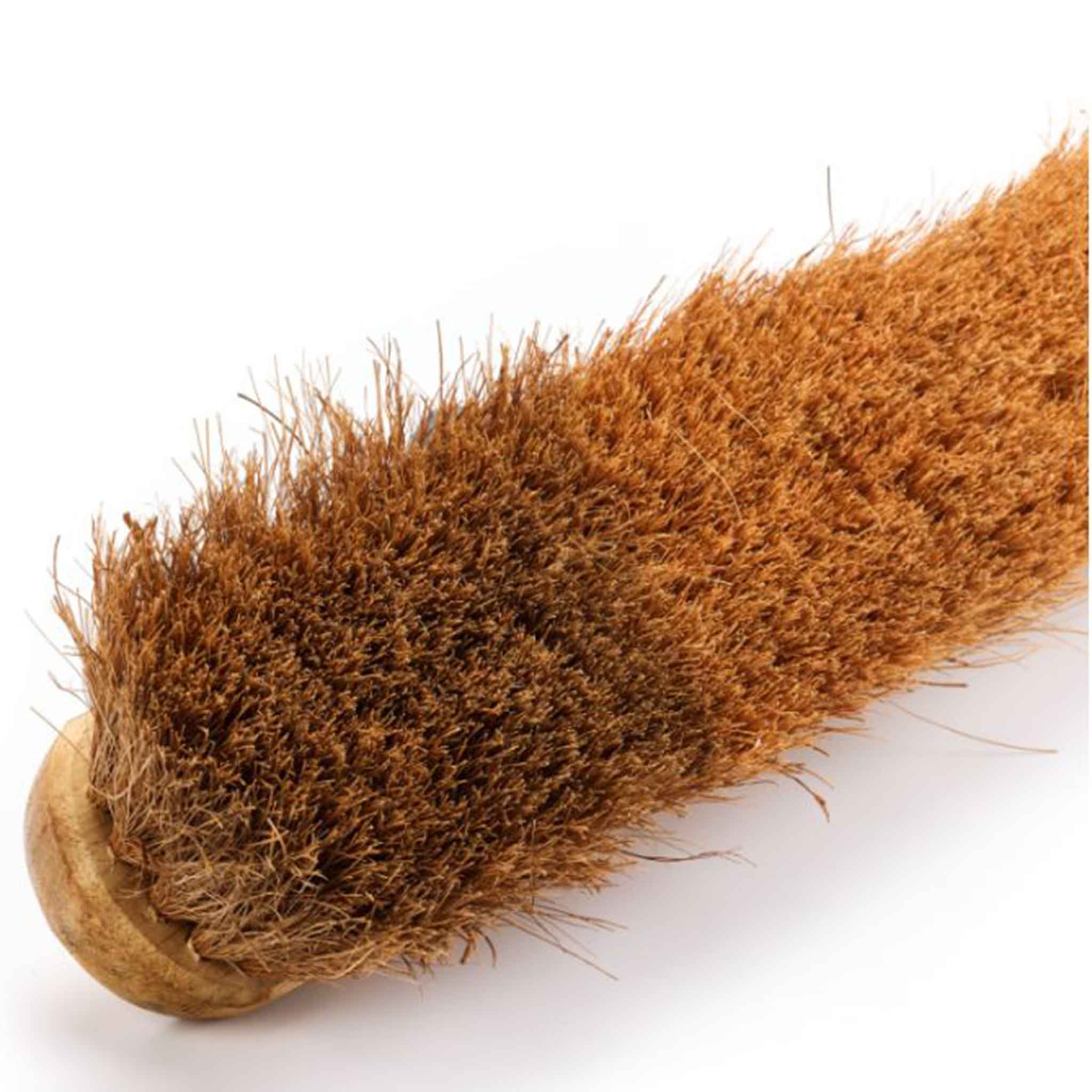 Buffalo 24'' Soft Coco Platform Broom Head