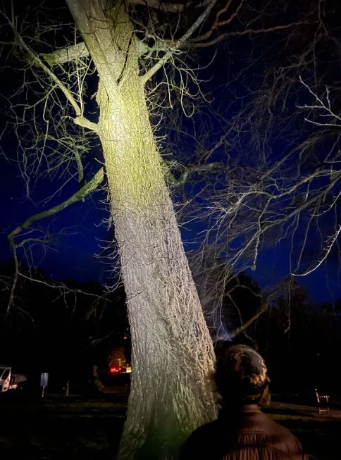 Clulite HL25 Motion2Go Head Torch 2