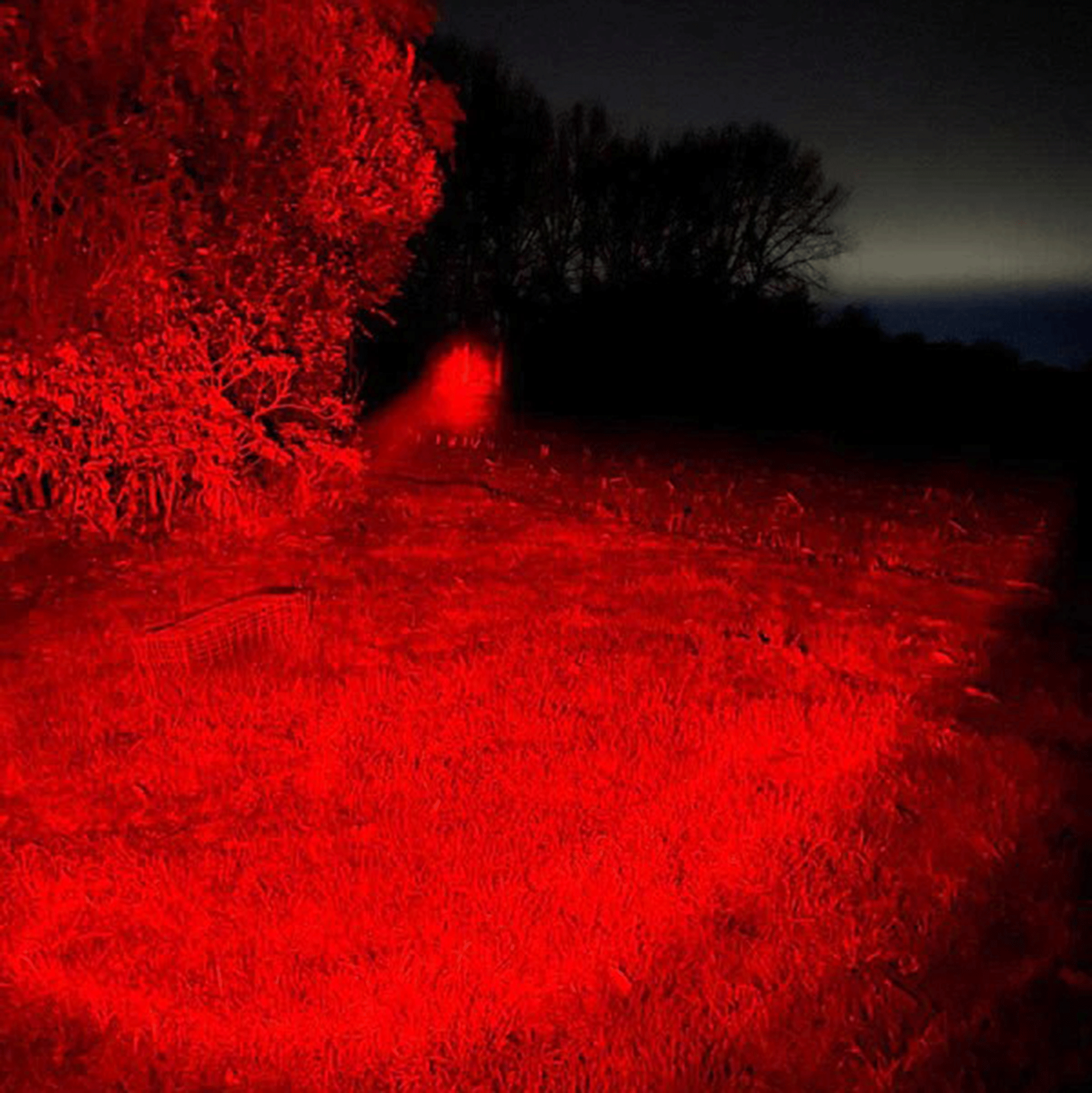 Clulite Long Ranger Elite