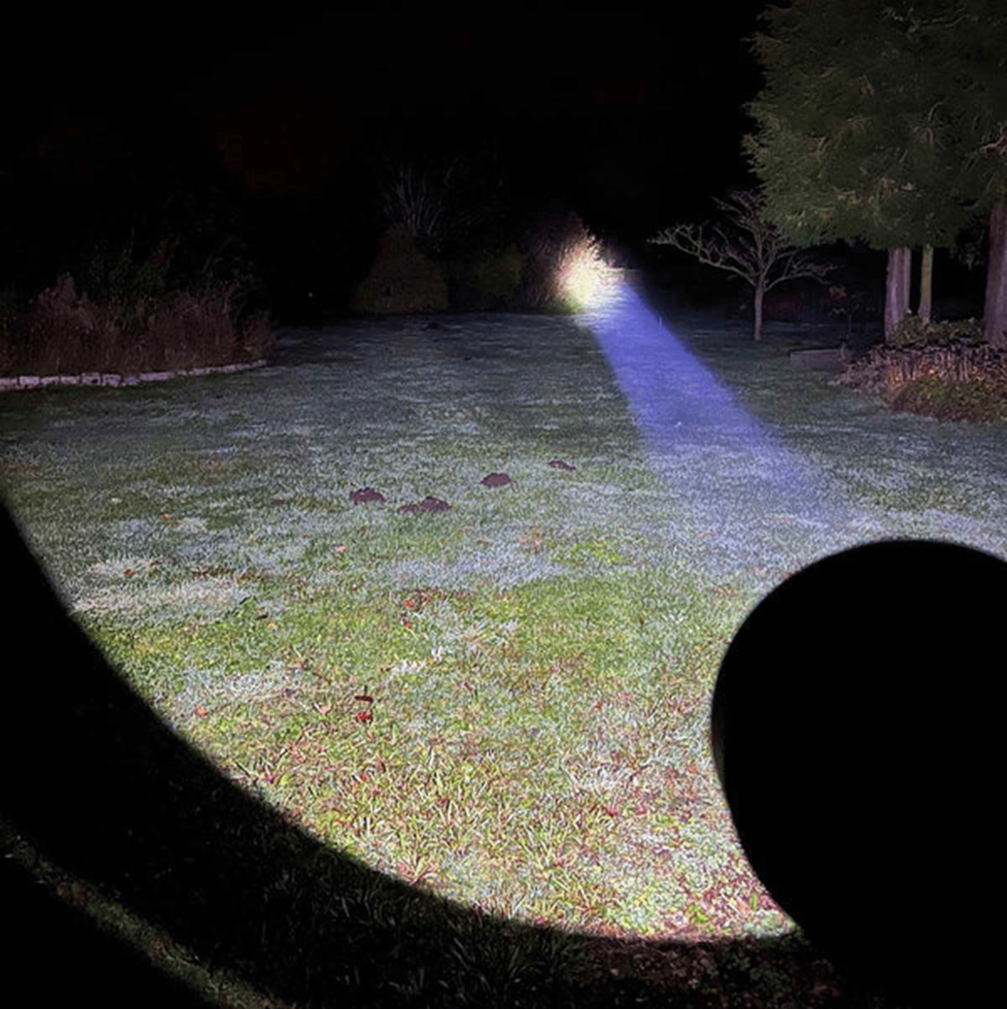 Clulite Long Ranger Elite