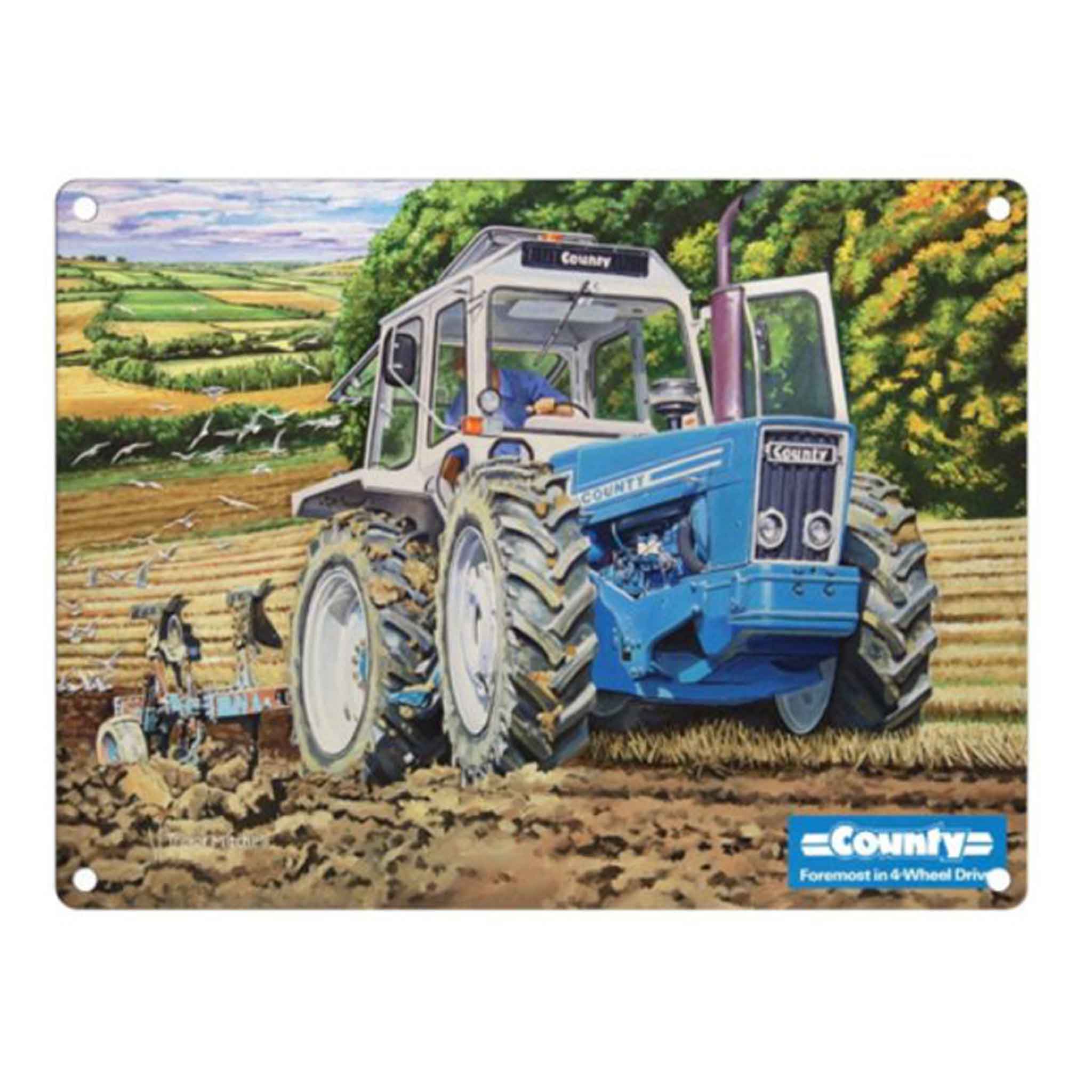 County Ford Large Metal Sign 30x40cm