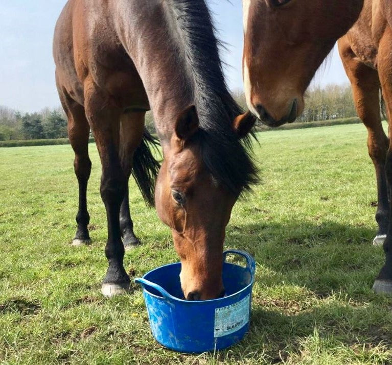 DK Keith Equine Essential Flexi Tub 12.5kg