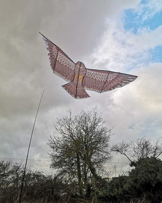 Defenders Swoop All-in-One Hawk Kite Kit 3