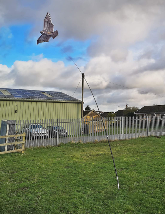 Defenders Swoop All-in-One Hawk Kite Kit 4