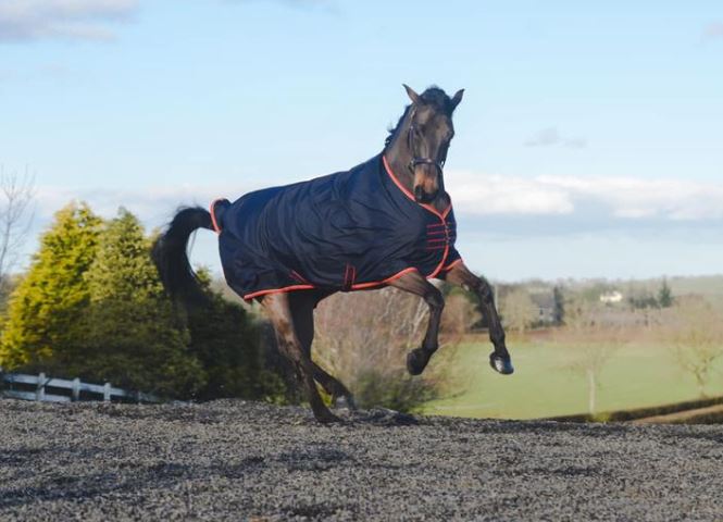 Equi-Sential 600D Lightweight Turnout Rug 0g 2