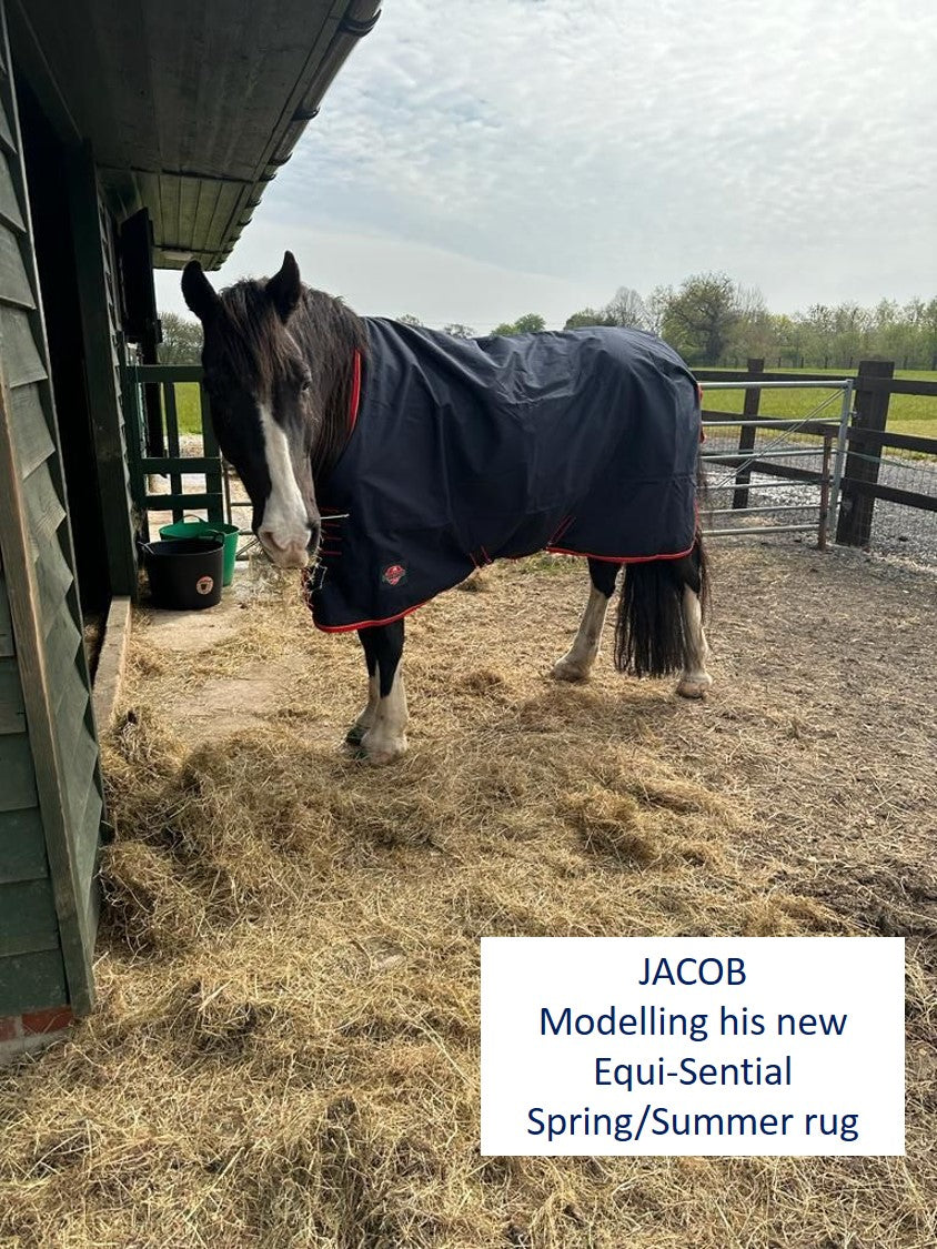Eaqui-Sential 600D Lightweight Turnout Rug 0g 4.jpg
