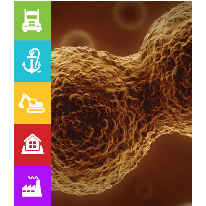 Exocet Anti-Bug Kill & Protect