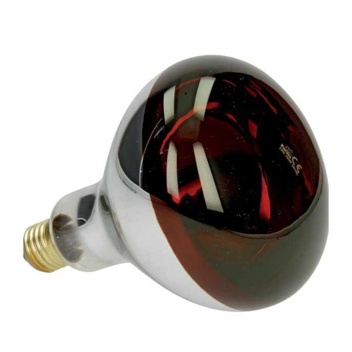 Farma Infrared Heat Bulb 250W Hard Glass Red 1