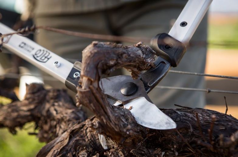 Felco 201 60cm Two Handed Loppers 2