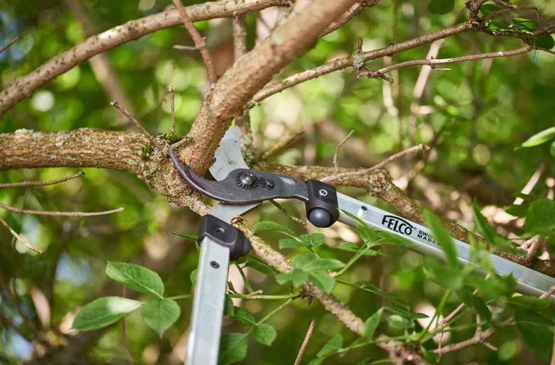 Felco 211 60cm Two Handed Loppers 2