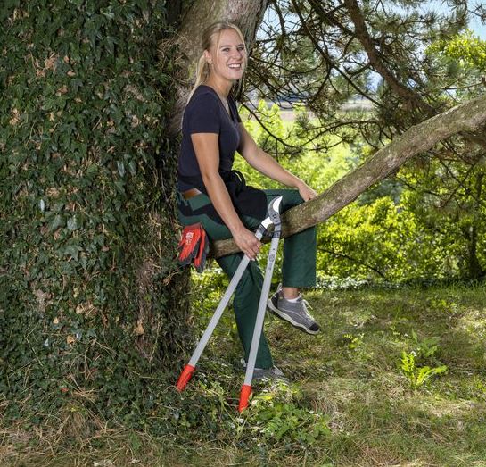 Felco 221 90cm Curved Cutting Head Loppers 2