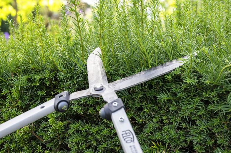 Felco 250 57cm Hedge Shears 3