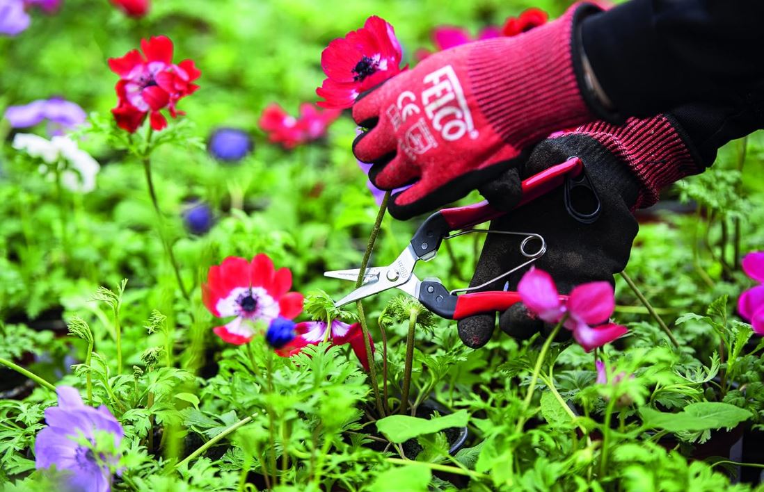 Felco 321 Picking & Trimming Snips 4