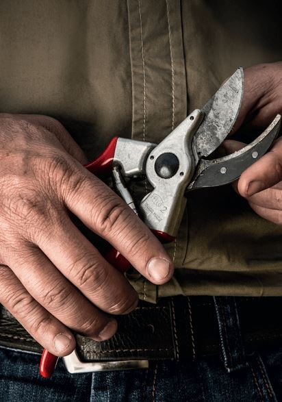 Felco No2 Secateurs & 601 Folding Pruner Saw Giftbox 1