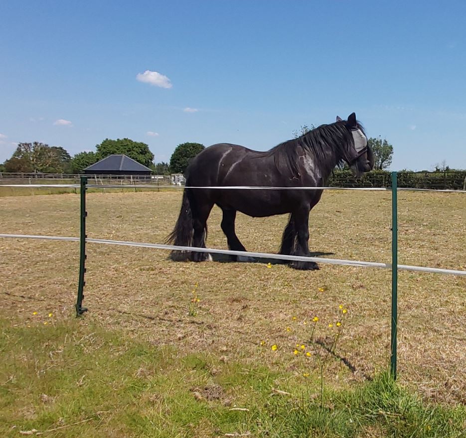 Fenceman White Tape 20mm x 200m Twin Pack 2