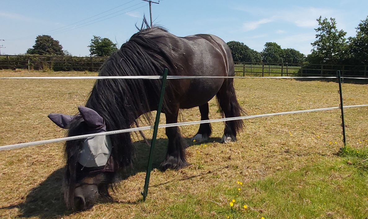 Fenceman White Tape 20mm x 200m Twin Pack 3