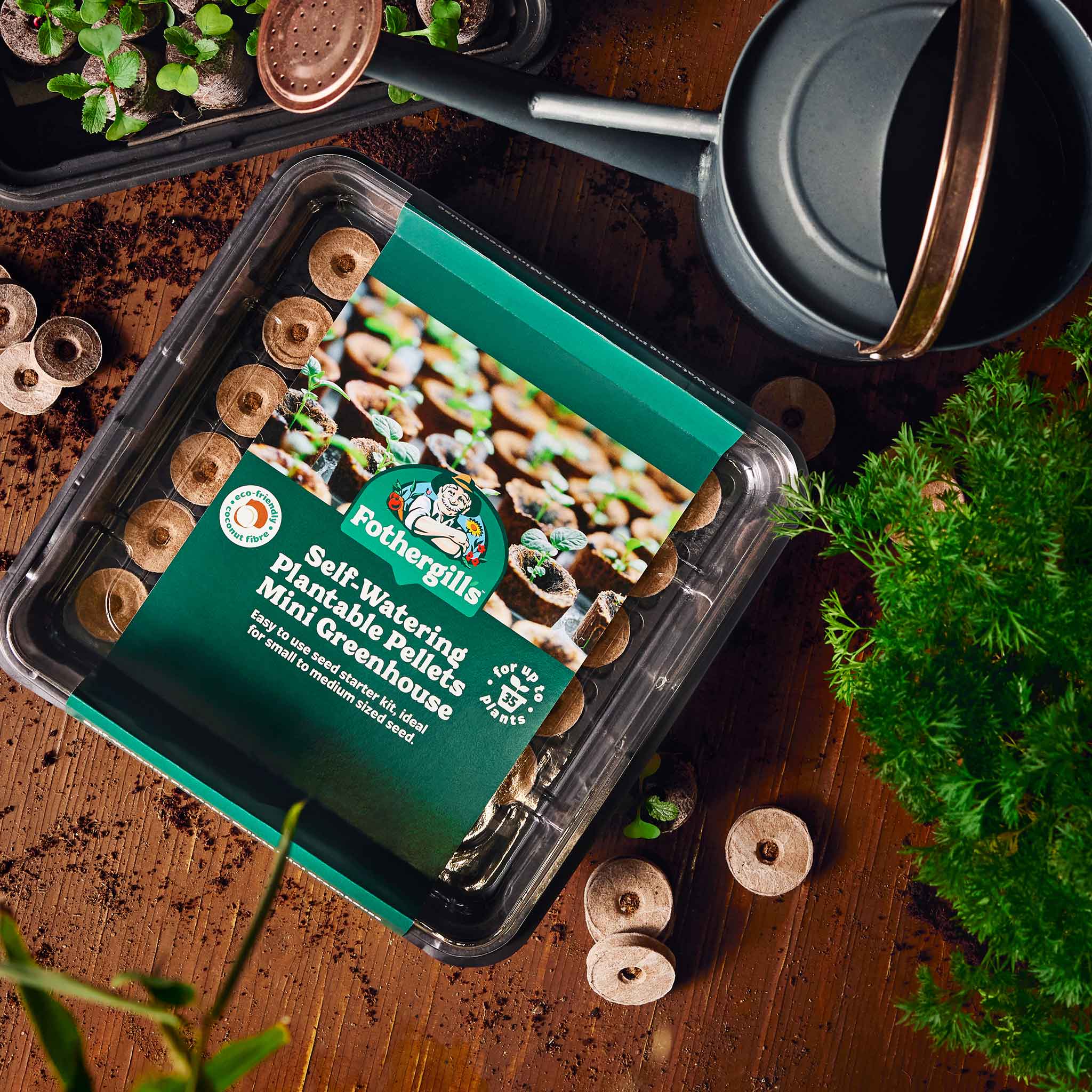 Fothergills_20241210529-1x1