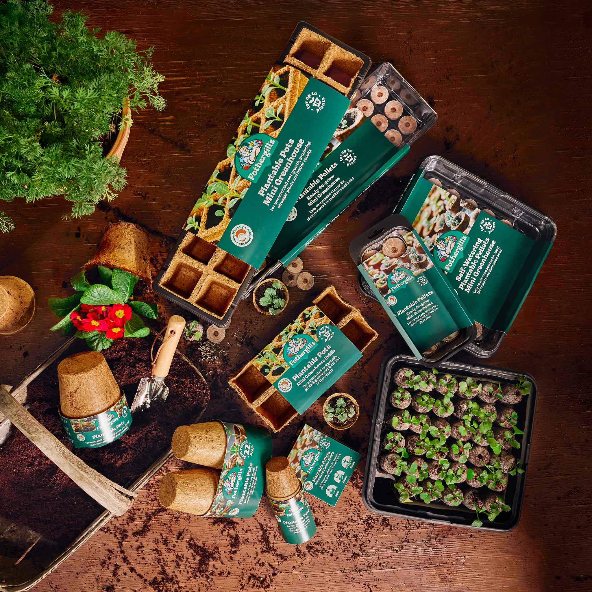 Fothergills_20241210600-1x1