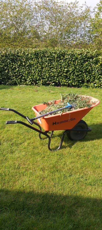 Fynalite Multi Weeda-Ragwort Fork with T Grip 4