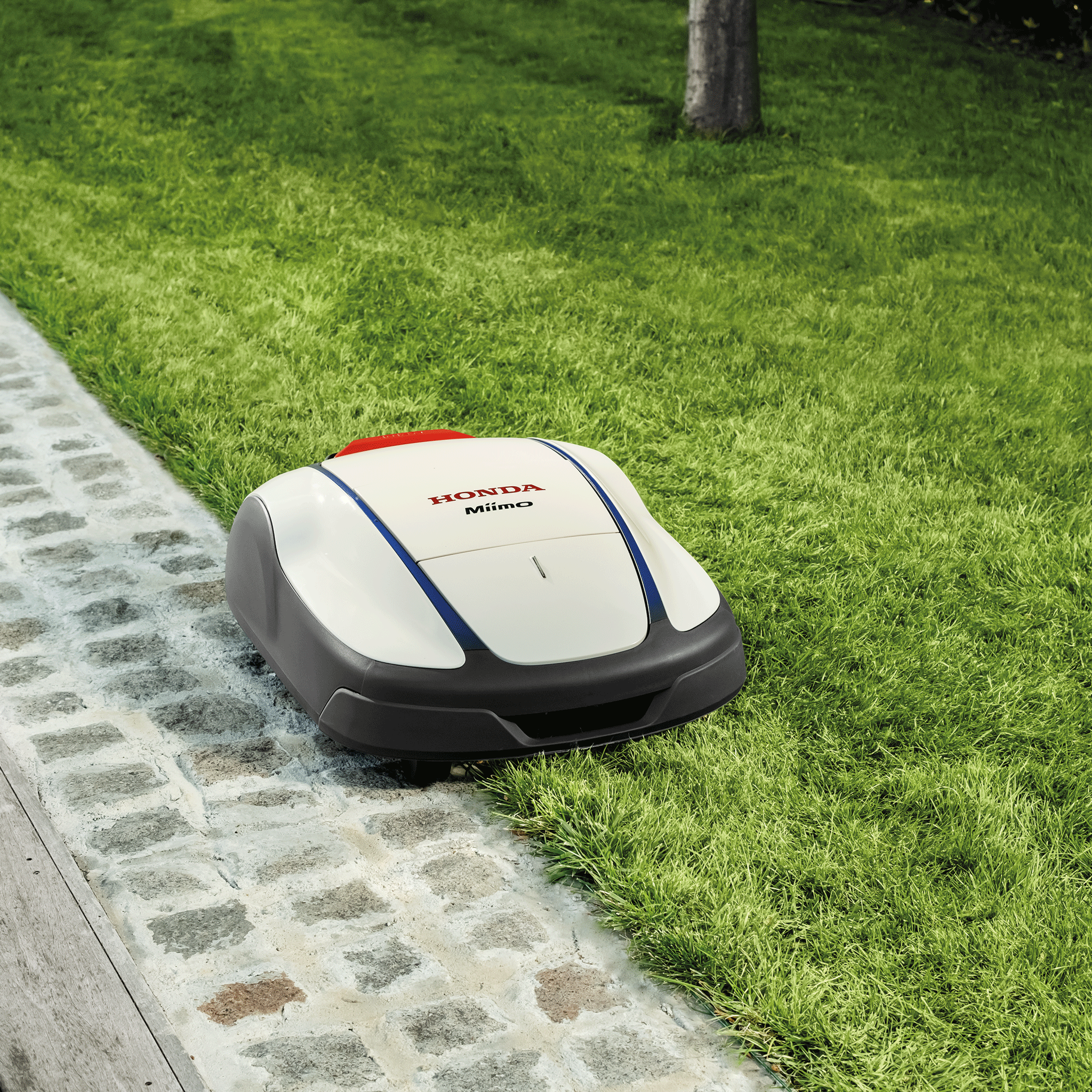 Honda Miimo HRM2500 LIVE Robotic Lawn Mower