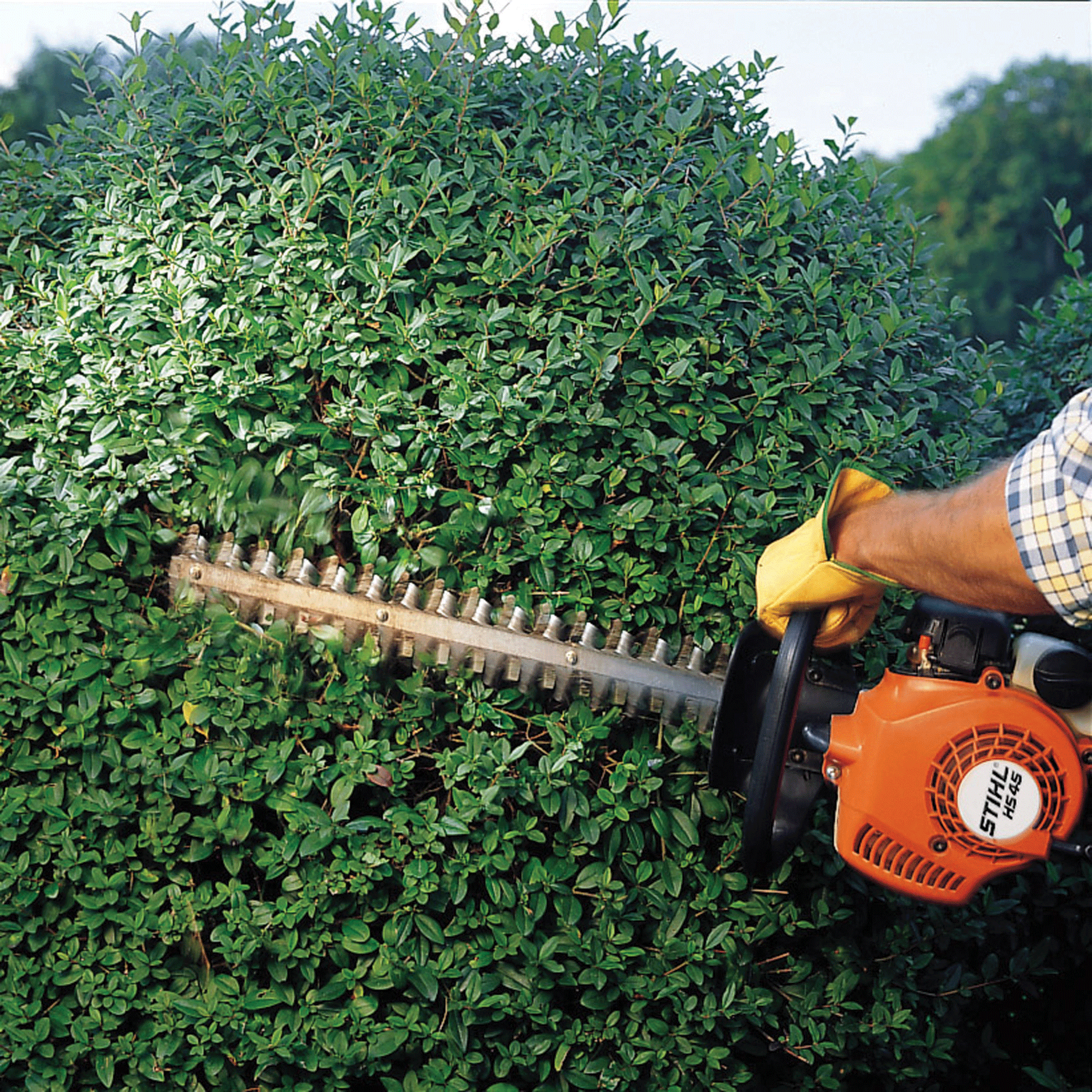 Stihl HS45 Petrol Hedge Trimmer