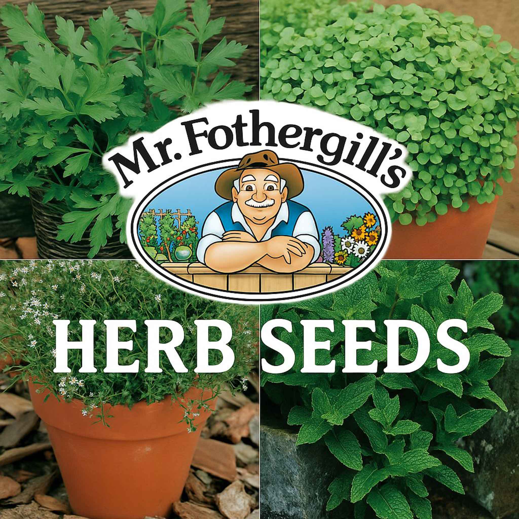 Herb-Seeds