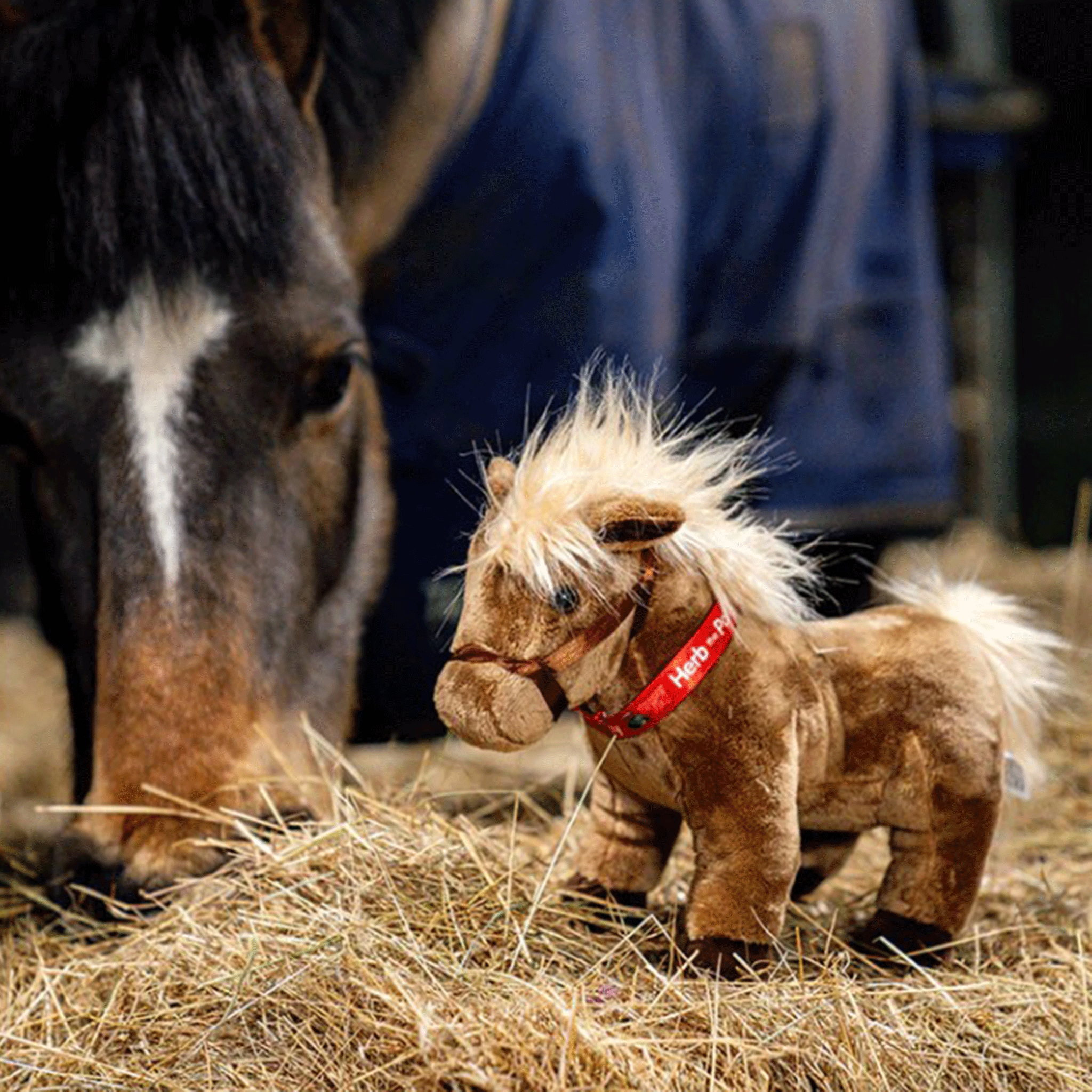 Tractor Ted Herb the Pony Soft Toy