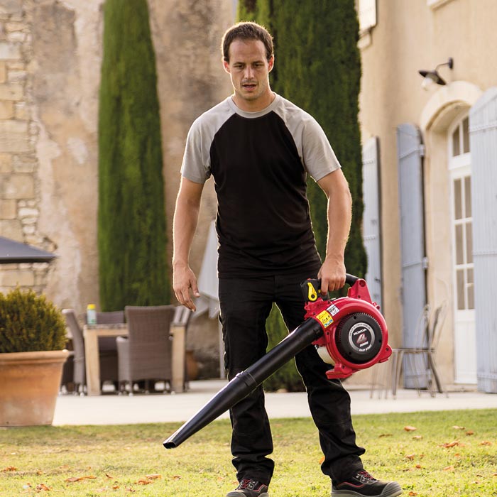 Honda HHB25E Leaf Blower