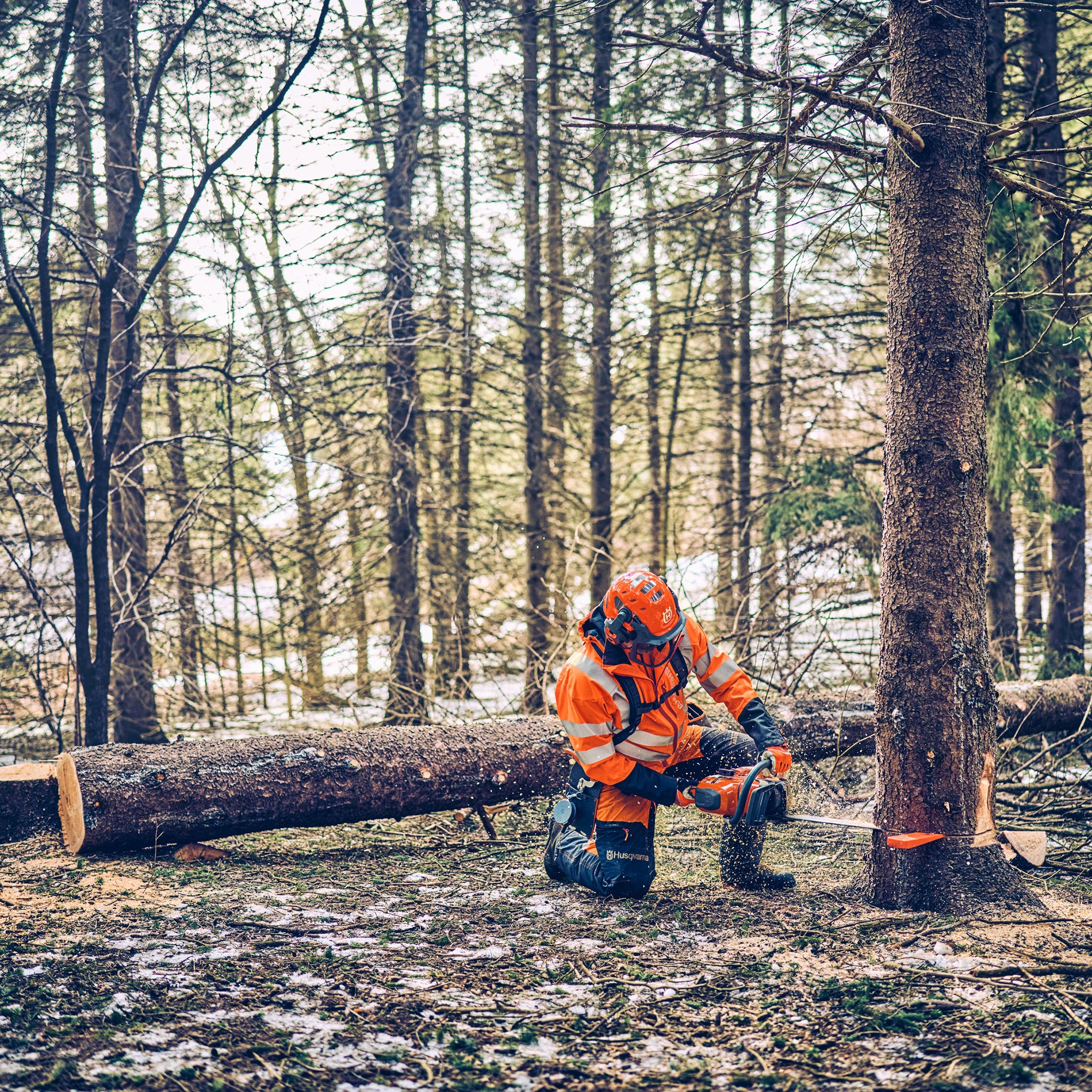 Husqvarna 562 XP Mark II Chainsaw 18"