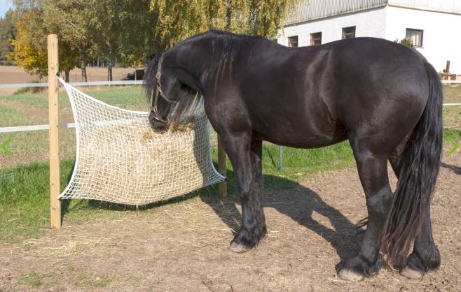 Kerbl Small Mesh Hay Net 120cm x 90cm 3