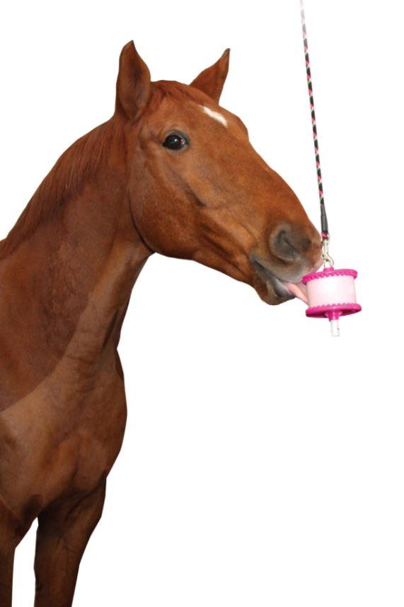 Likit (650G) Refil with Hanging Toy