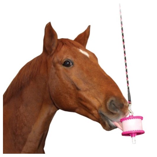 Likit (650g) Hanging Treat Holder & Refill