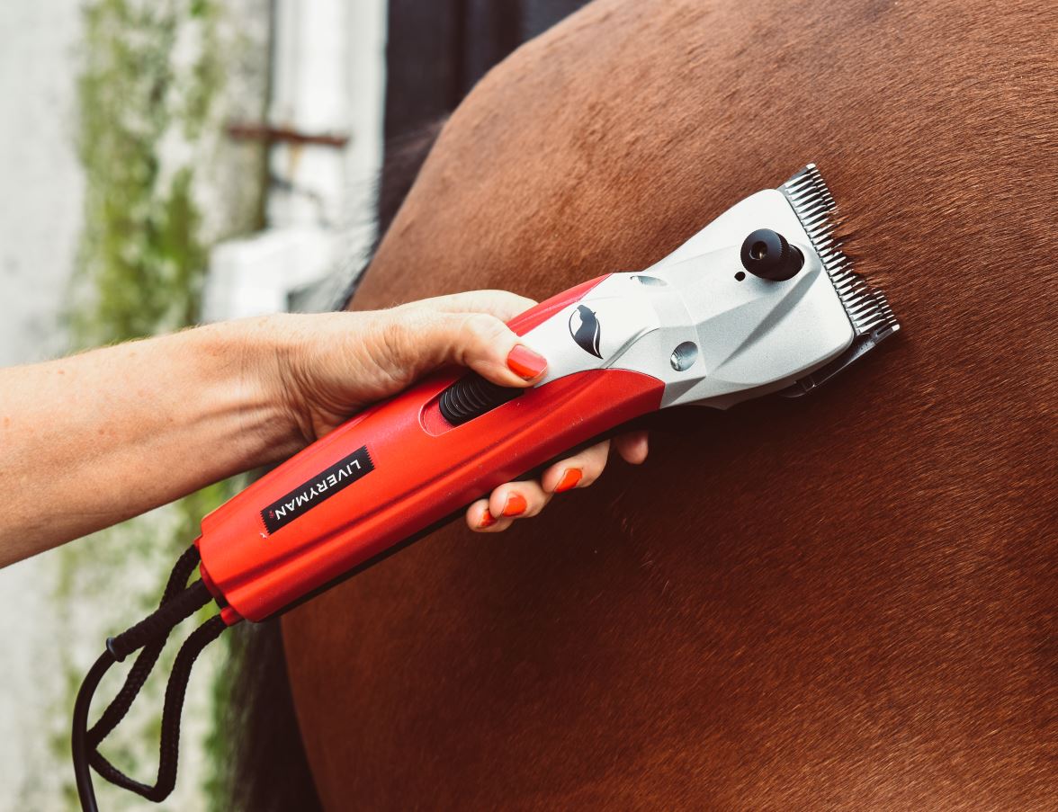 Liveryman Black Beauty Mains Horse Clipper 5