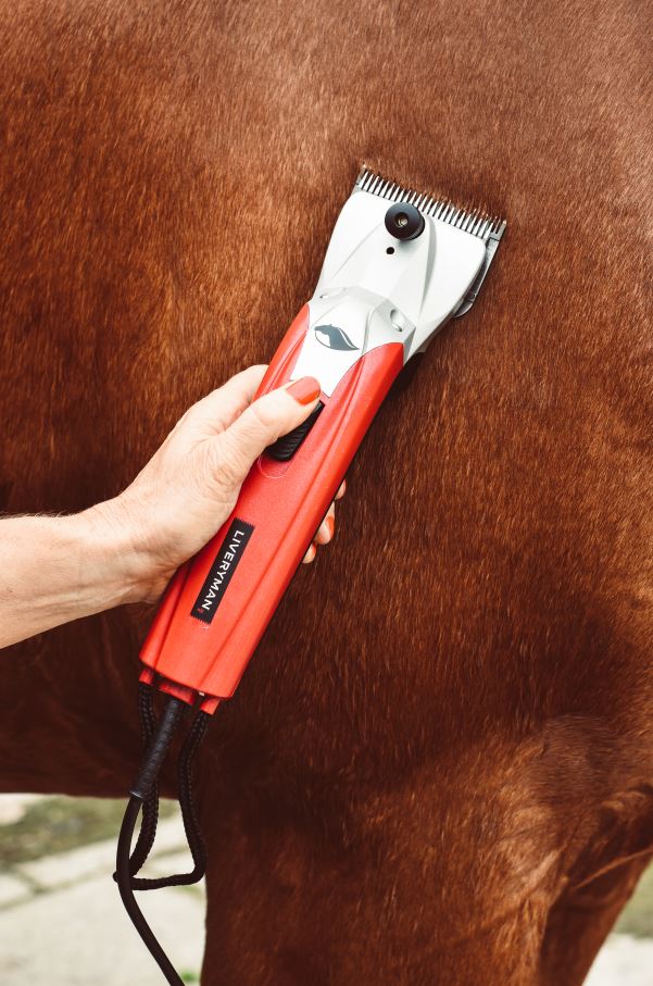 Liveryman Black Beauty Mains Horse Clipper 6