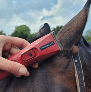 Liveryman Nova Professional Horse Trimmer 2