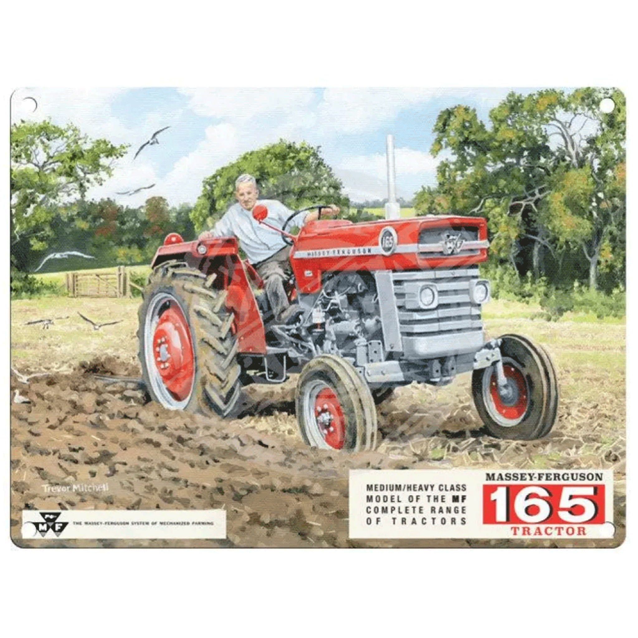 Massey Ferguson 165 Vintage Metal Sign 30x40cm