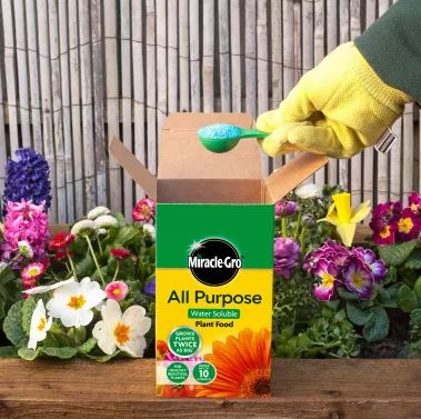 Miracle Gro All Purpose Water Soluble Plant Food 2